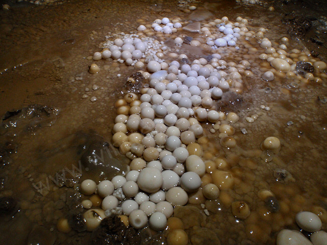 A close-up of pristine cave pearls