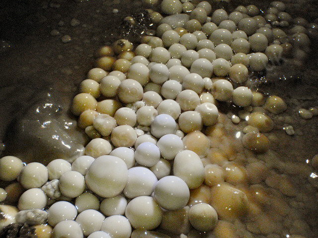 A close-up shot of pristine cave pearls