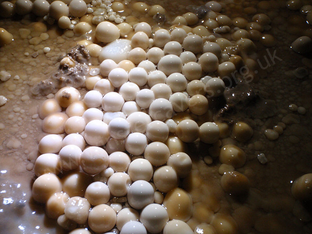 A close-up shot of pristine cave pearls