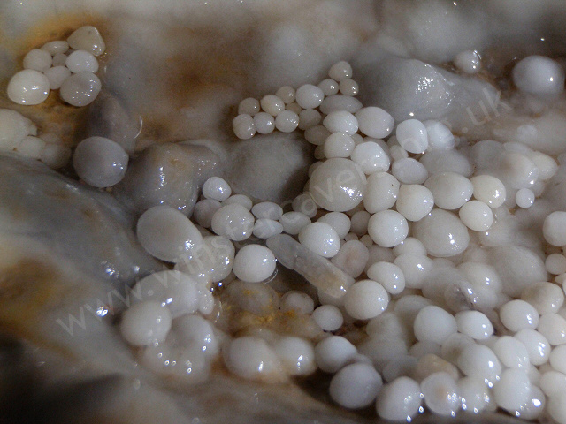 Miniature cave pearls