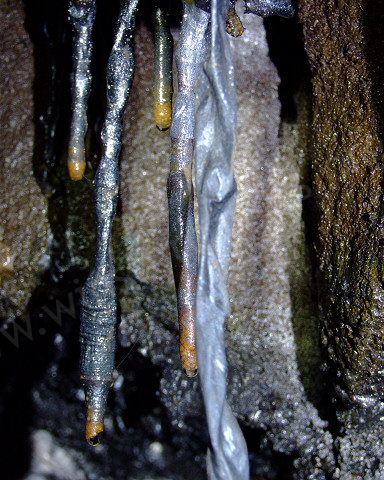 Lava formations in Pu'u Po'o (3)