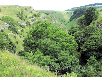 Looking down onto the hidden delights of Lathkill Dale