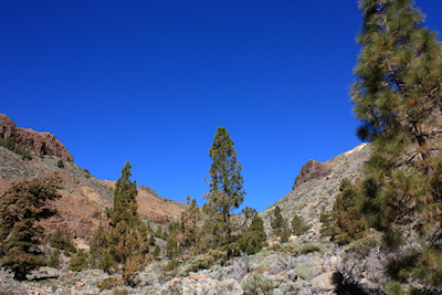 View looking up one of the barrancos on Mount Teide, Tenerife, January 2011